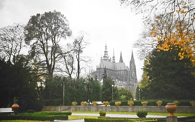 Faded colour photo of St Vitus Cathedral above dark trees, with a clipped hedge, stone urns and a low garden wall in the foreground.