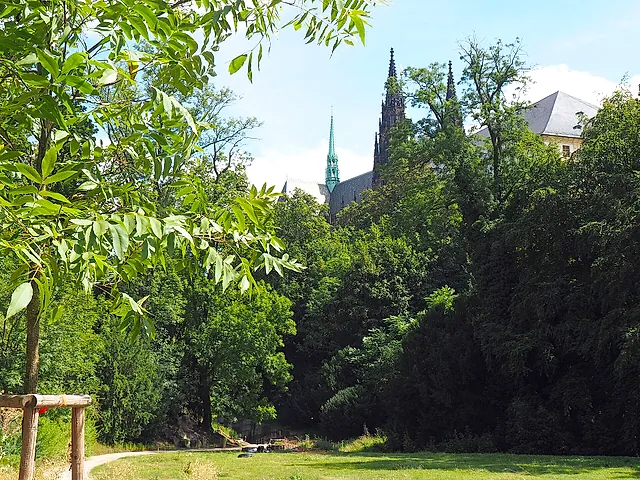 Green lawn beneath tall trees, with the spires of St Vitus Cathedral peeking above the foliage in the distance on a bright day.