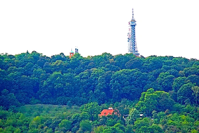 Petřín Lookout Tower, a steel lattice tower rising above the green treetops of Petřín hill under a pale sky, with a small red-roofed building among the trees.